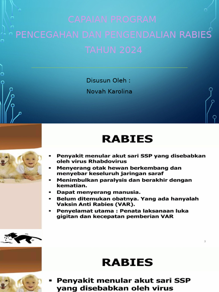 EVALUASI P2 RABIES TAHUN 2024 | PDF