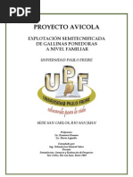 36556700 Proyecto Gallinas Ponedoras Documento Final[1]