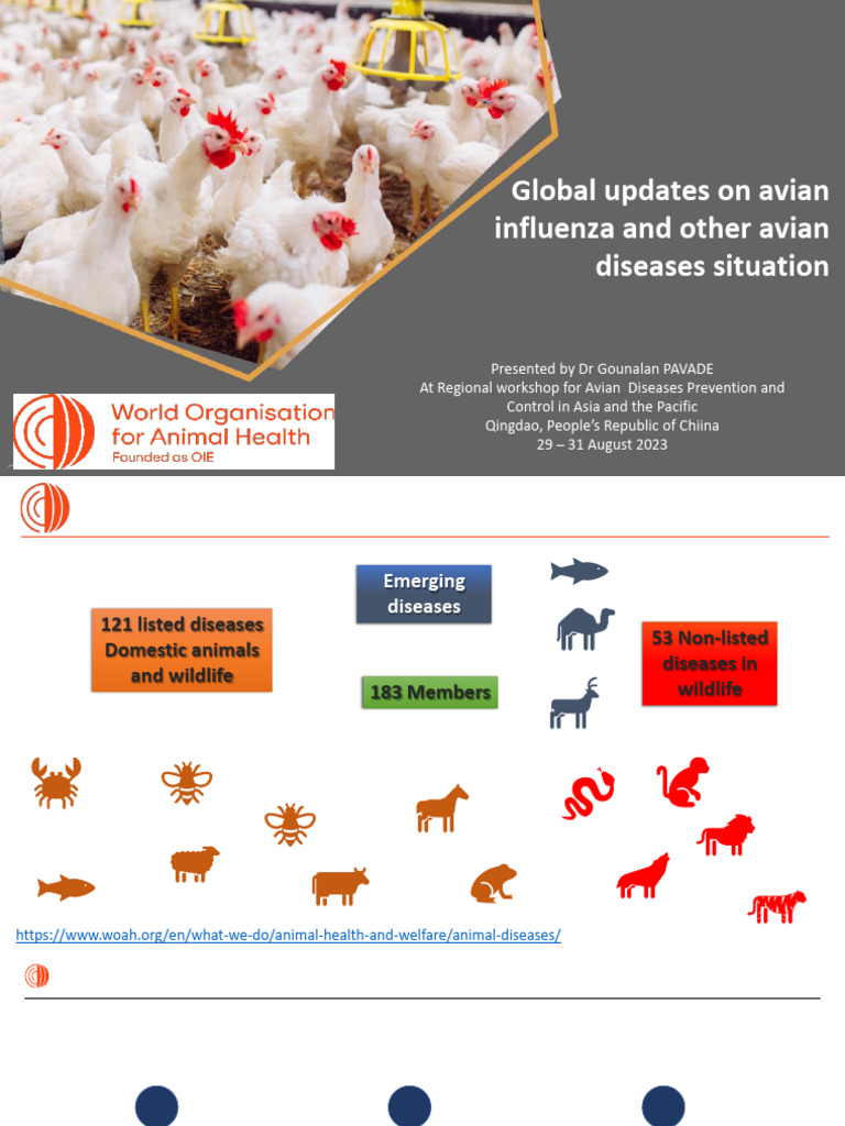 Avian Influenza and Disease Update 2023 | PDF | Avian Influenza ...