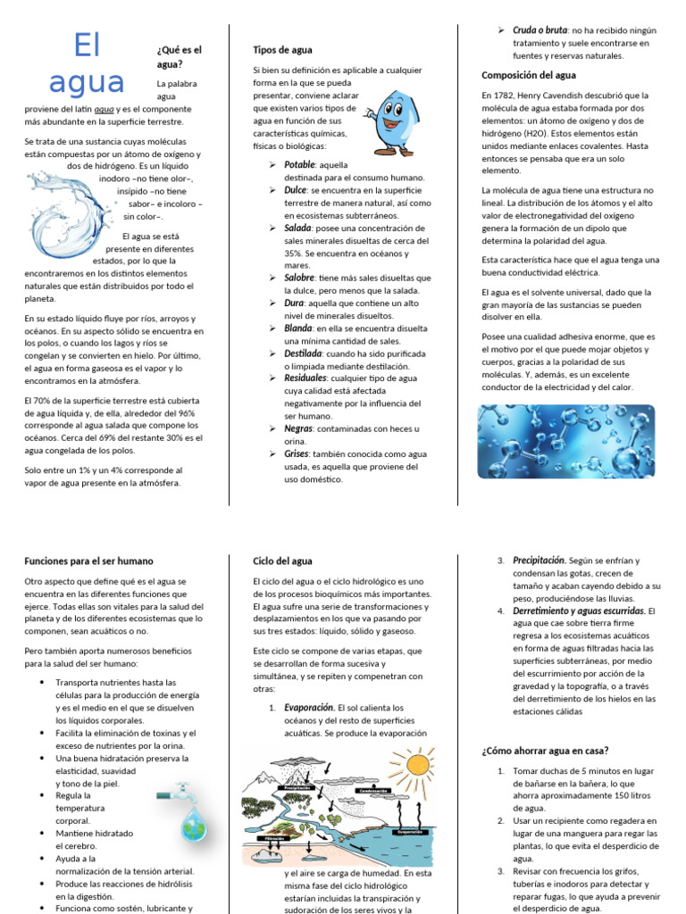 Tríptico sobre el cuidado del agua | PDF | Agua | Propiedades del agua