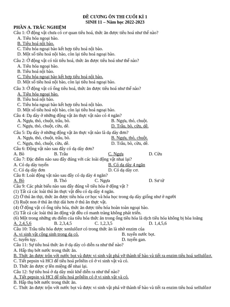 Đề Cương Ôn Thi | PDF