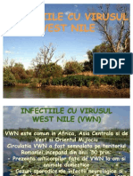Infectiile Cu Virusul West Nile