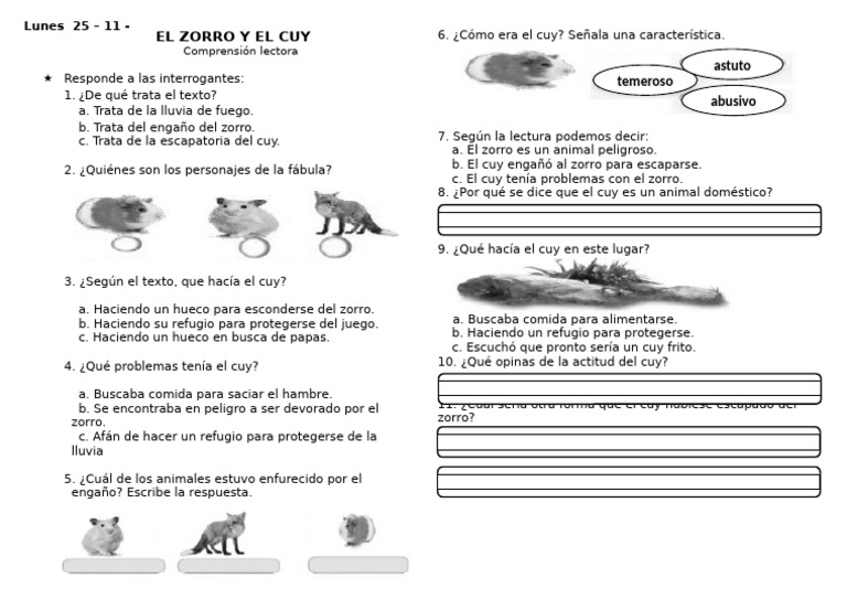 Ficha Comunicaciòn 25-11-2024 | PDF