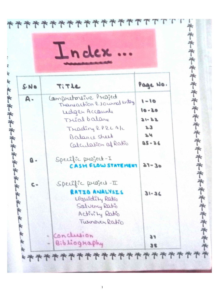 Accountancy Project | PDF