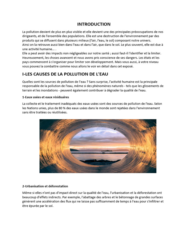 Causes et conséquences de la pollution aquatique | PDF | la pollution ...