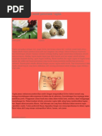 Download Herbal Probiotik Untuk Perawatan Vagina by pakde jongko SN80295927 doc pdf