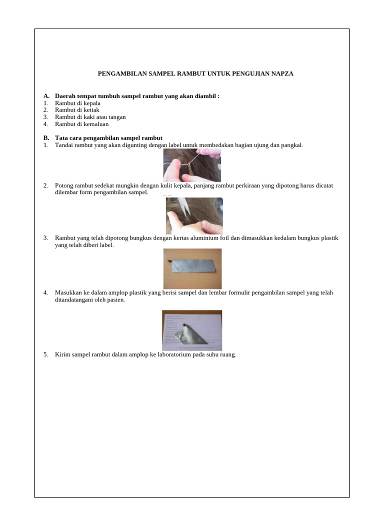 IK-10 Pengambilan Sampel Rambut | PDF