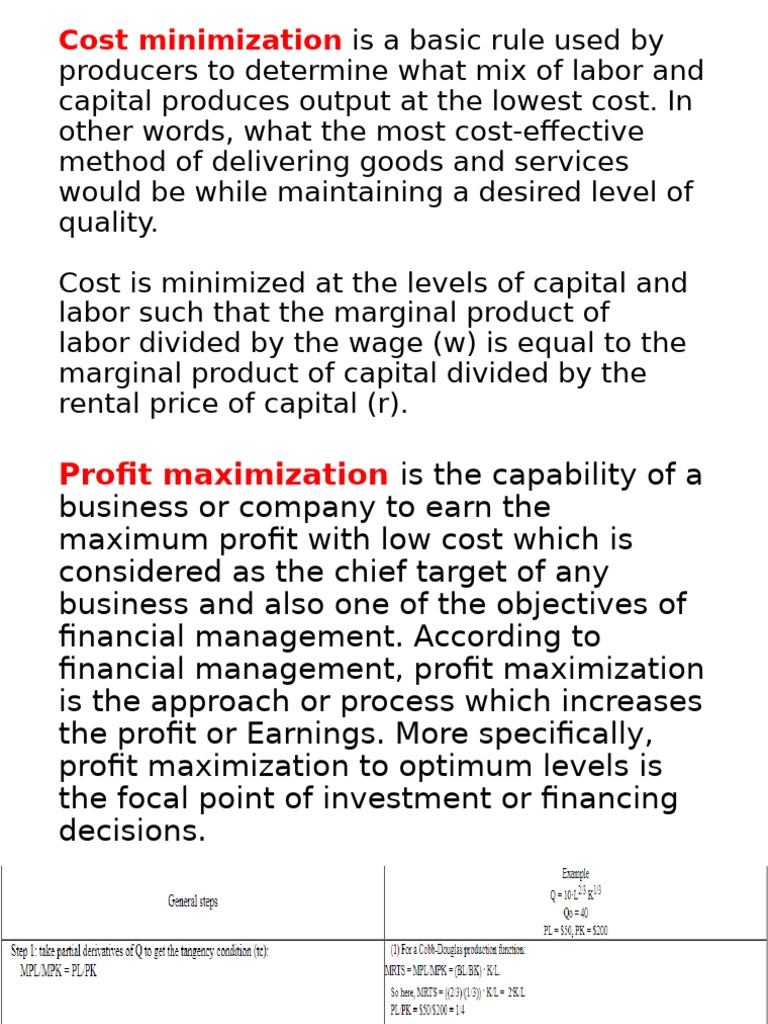 Cost Minimization and Profit Maximization Techniques | PDF