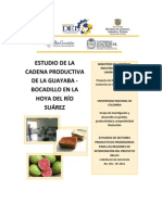 Estudio de La Cadena Productiva de La Guayaba-Bocadillo en La Hoya Del Río Suárez (Santander)