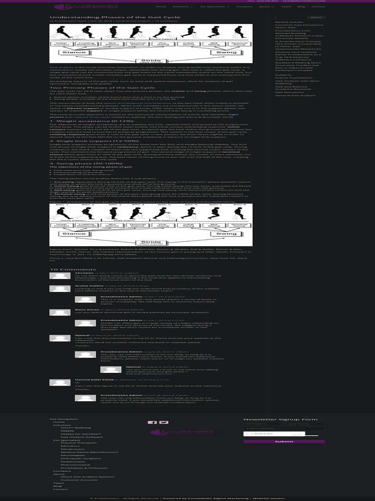 Phases of The Gait Cycle - Gait Analysis ProtoKinetics | PDF | Walking ...