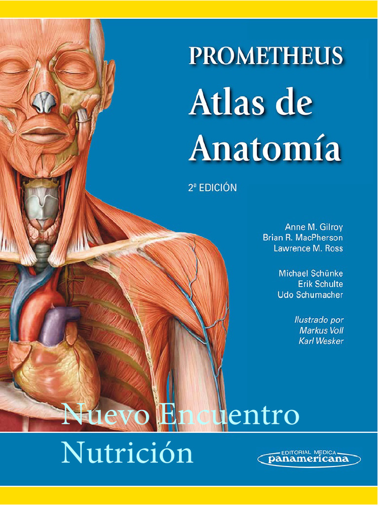 427550745 Prometheus Atlas de Anatomia PDF | PDF