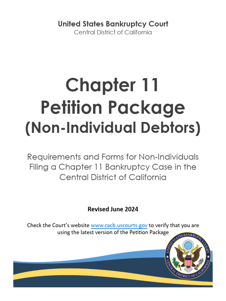 Ch11 Non-IndividualPetitionPackage | PDF | Bankruptcy | Chapter 11