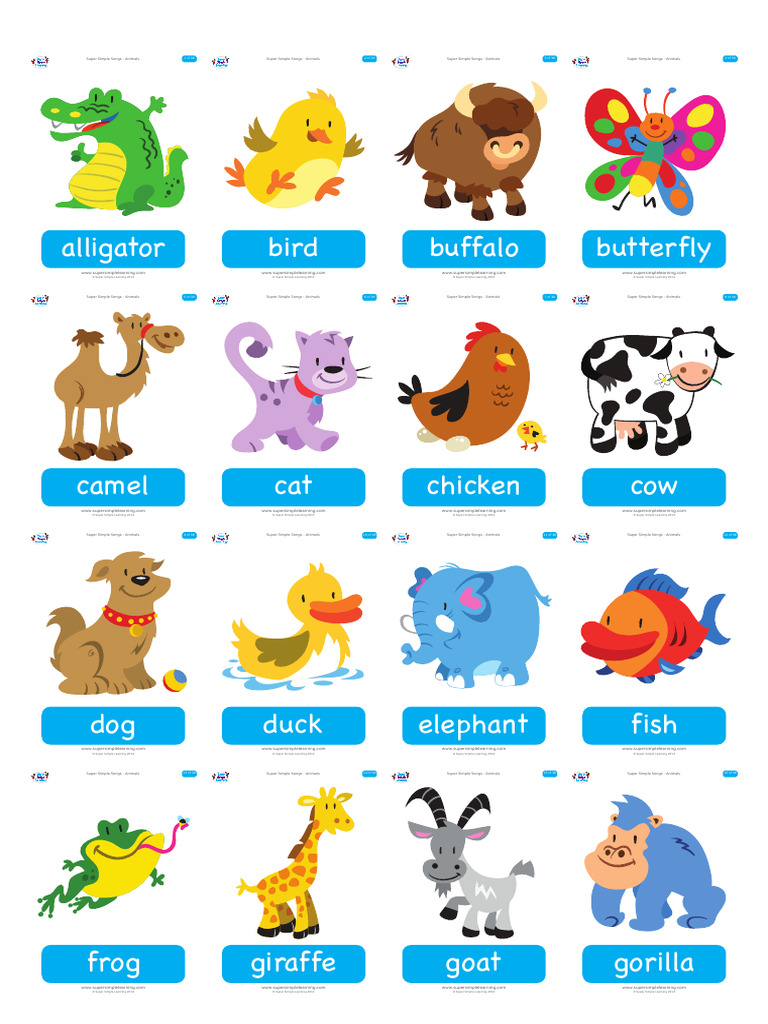 Animals Flashcards Pdf Mammal Ecology Mammals