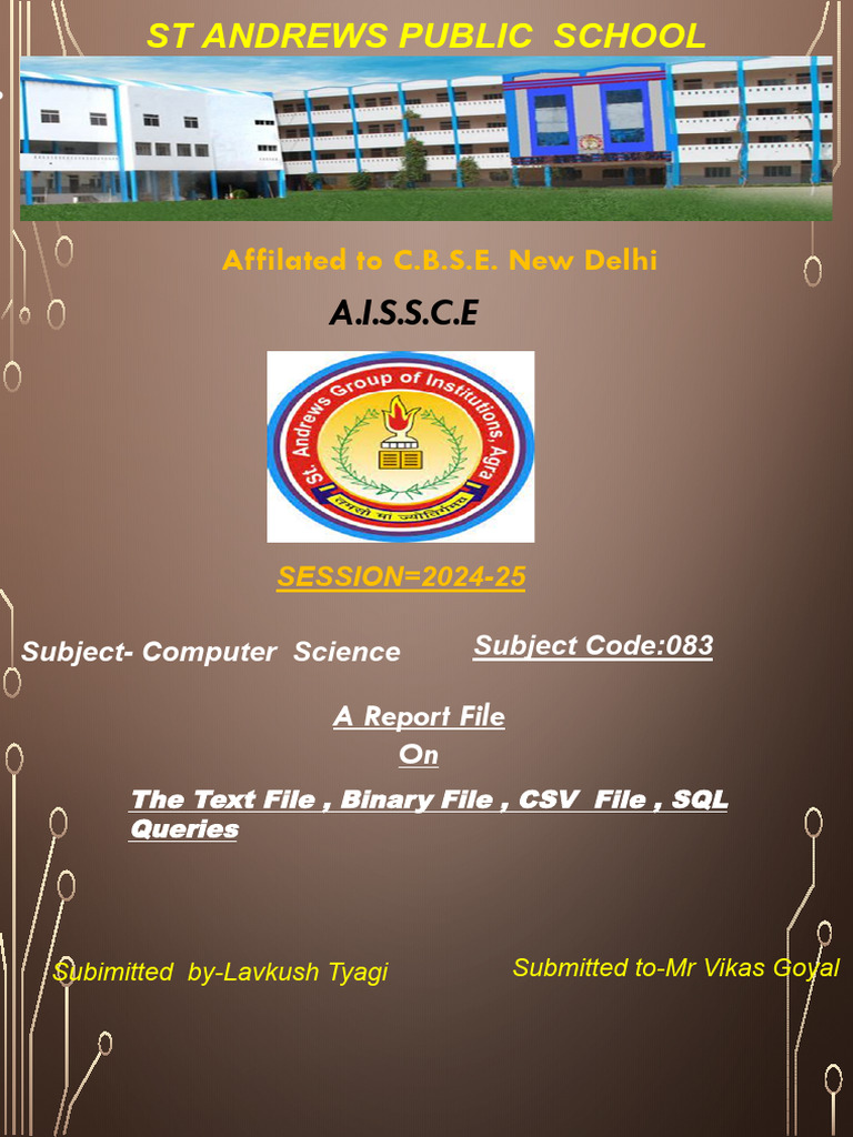 ST Andrews Public School CS | PDF | Filename | Computing
