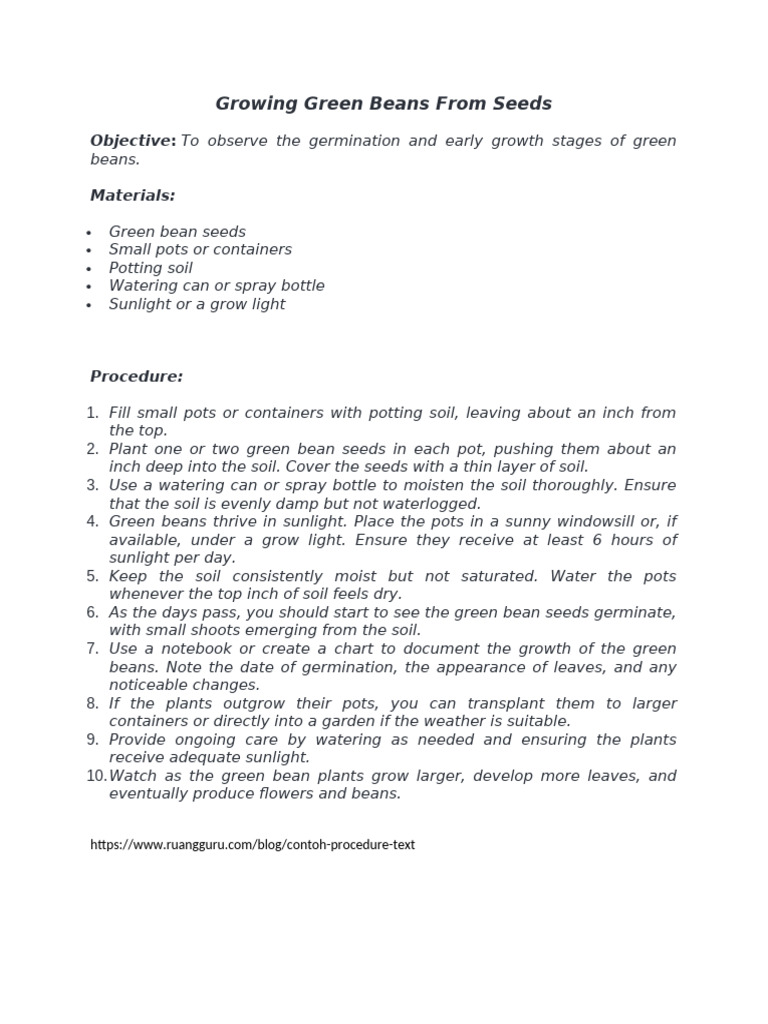 Germinating Green Bean Seeds Guide | PDF