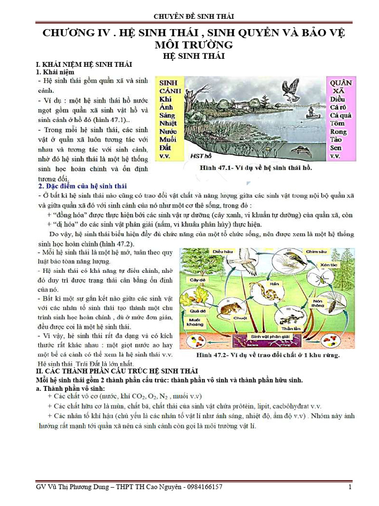 LÝ THUYẾT HỆ SINH THÁI | PDF