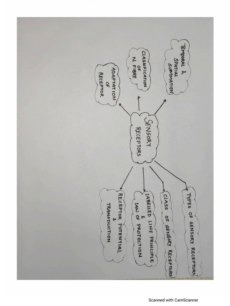 CNS 1 | PDF