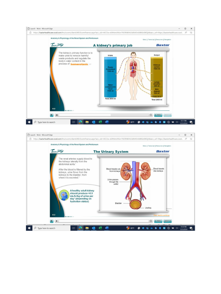 New Microsoft Word Document | PDF