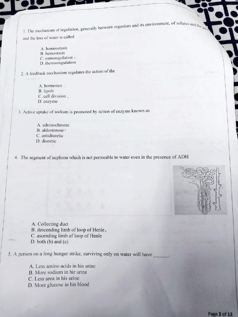 Biology practice paper class 10 pdf