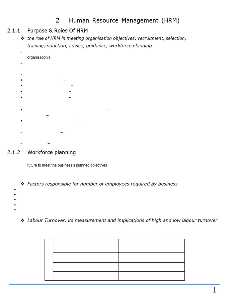 HRM Roles and Workforce Planning Guide | PDF | Employment | Human ...