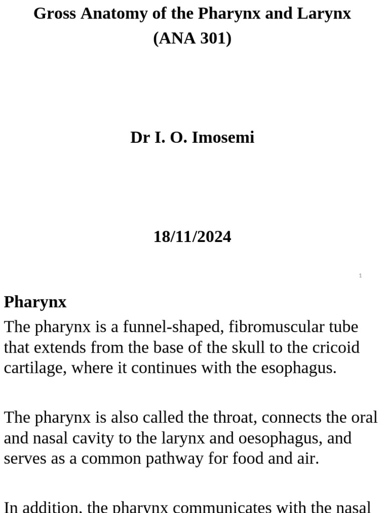 CU ANA 301 Gross anatomy of the Pharynx and Larynx | PDF | Larynx ...