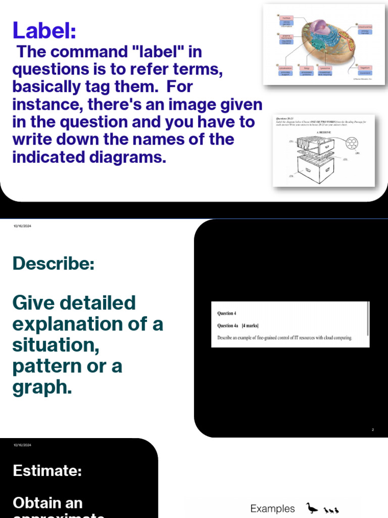 Label, Describe, Estimate Guide | PDF