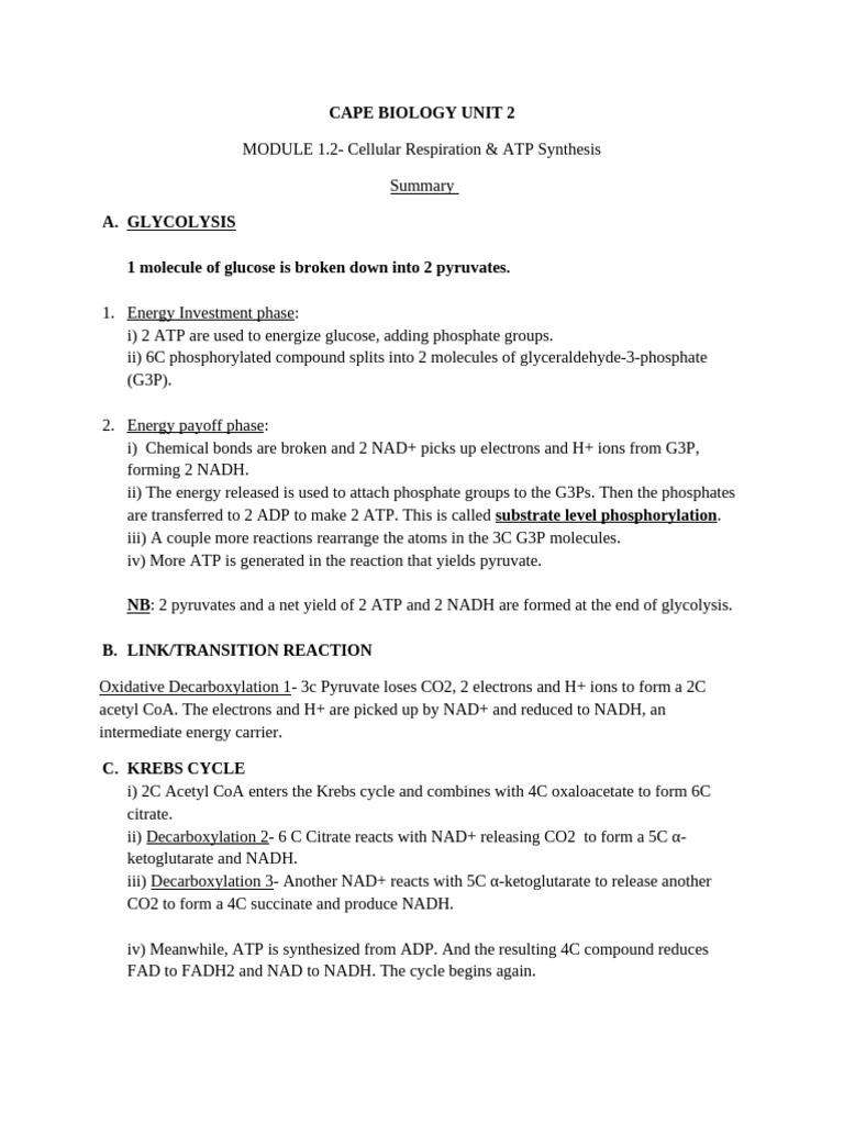 Cellular Respiration & ATP Synthesis Guide | PDF | Adenosine ...
