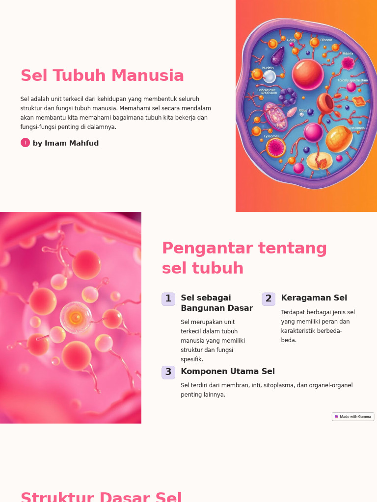Sel Tubuh Manusia | PDF