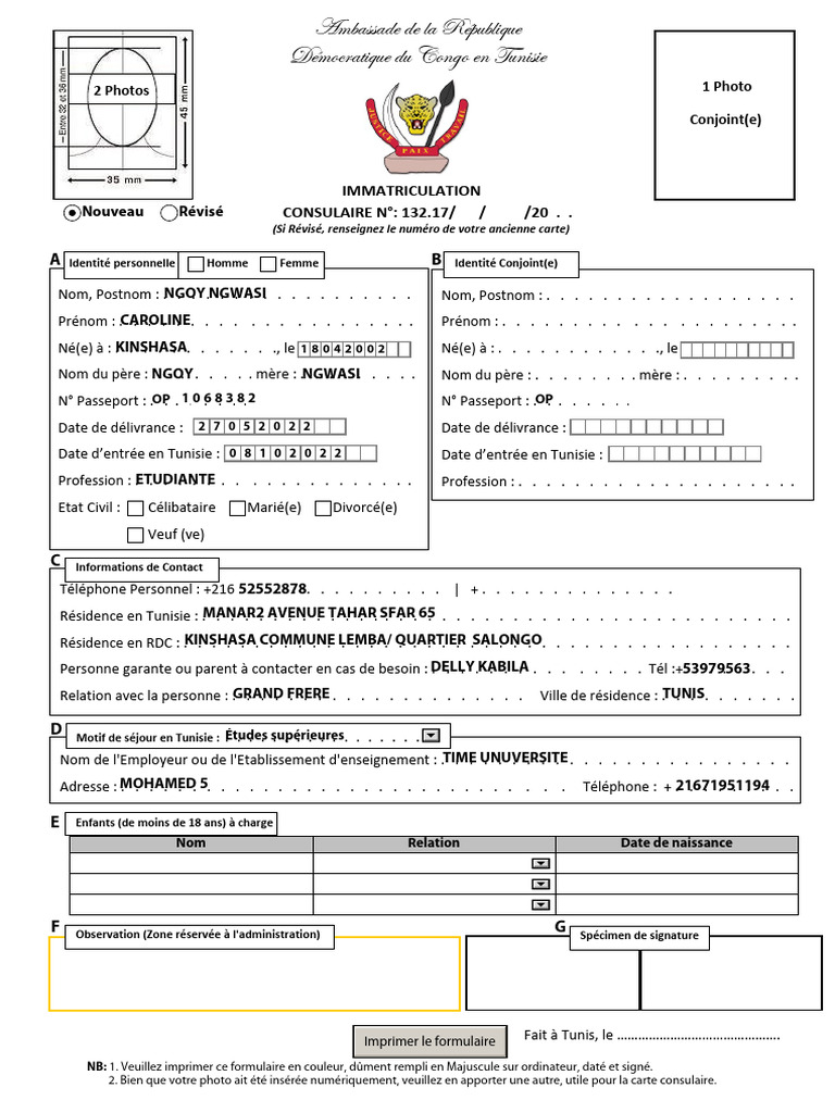 Formulaire de demande de visa RDC | PDF