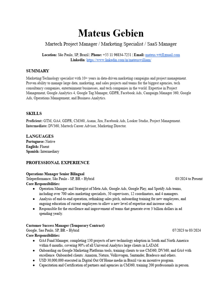 Martech Project Manager Profile | PDF