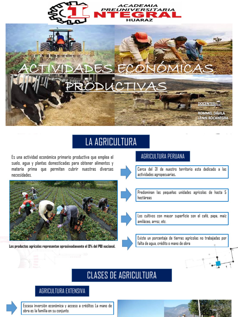 ACTIVIDADES ECONÓMICAS PRODUCTIVAS | PDF | Agricultura | Carne