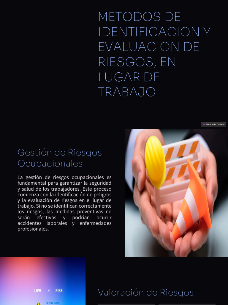 Gestion de Riesgo en El Trabajo | PDF | Riesgo | Seguridad y salud ...