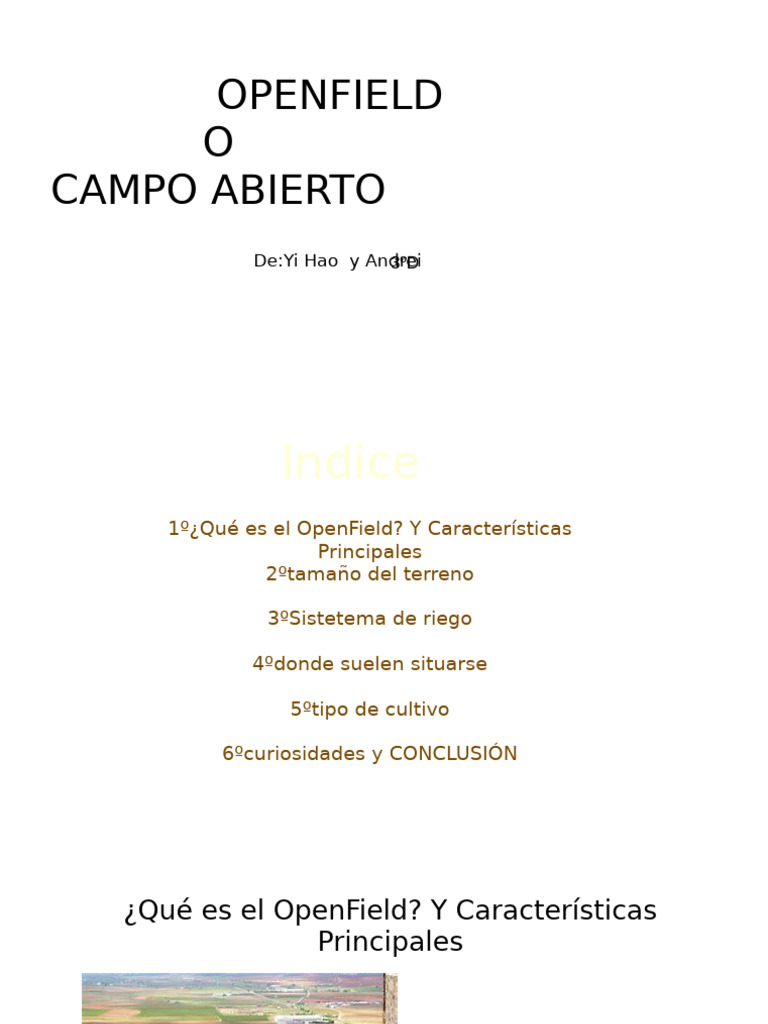 Openfield | PDF | Riego | Agricultura