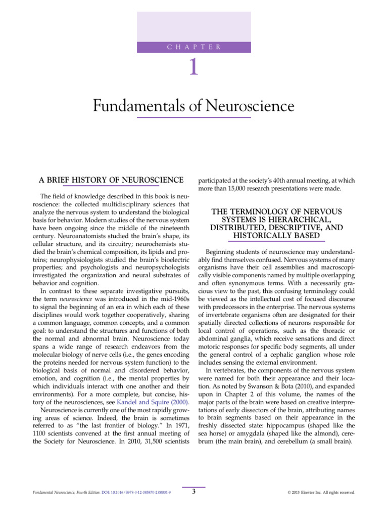 First Page PDF | PDF | Brain | Neuroscience