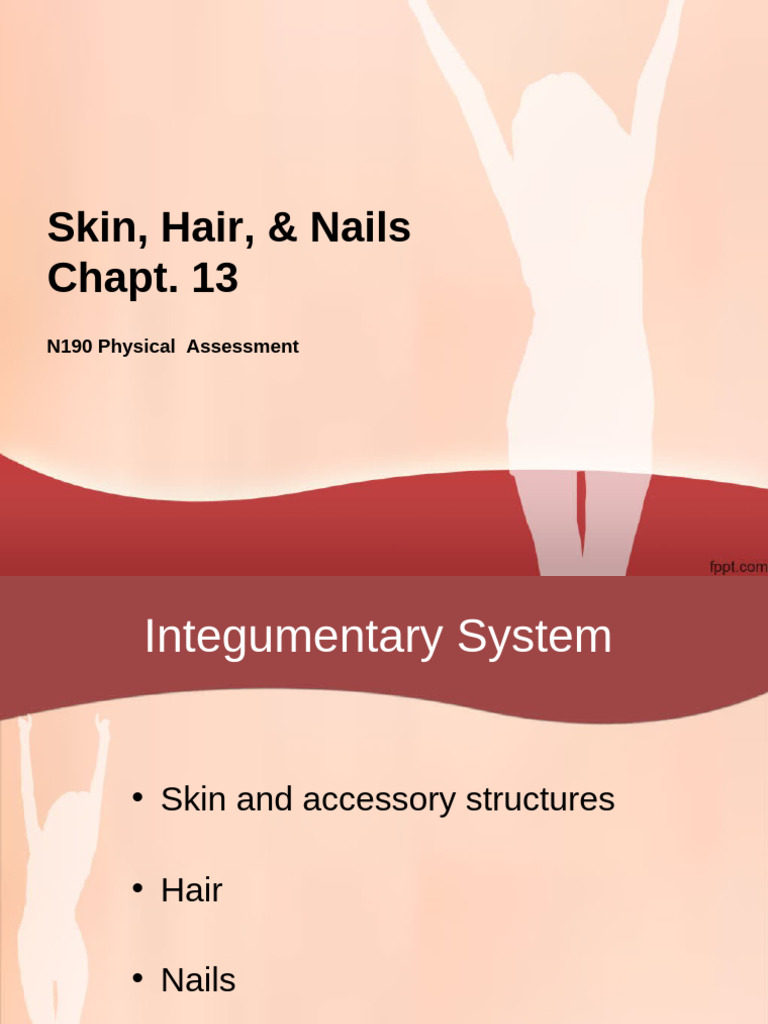 Integumentary System Assessment Guide | PDF | Skin | Integumentary System