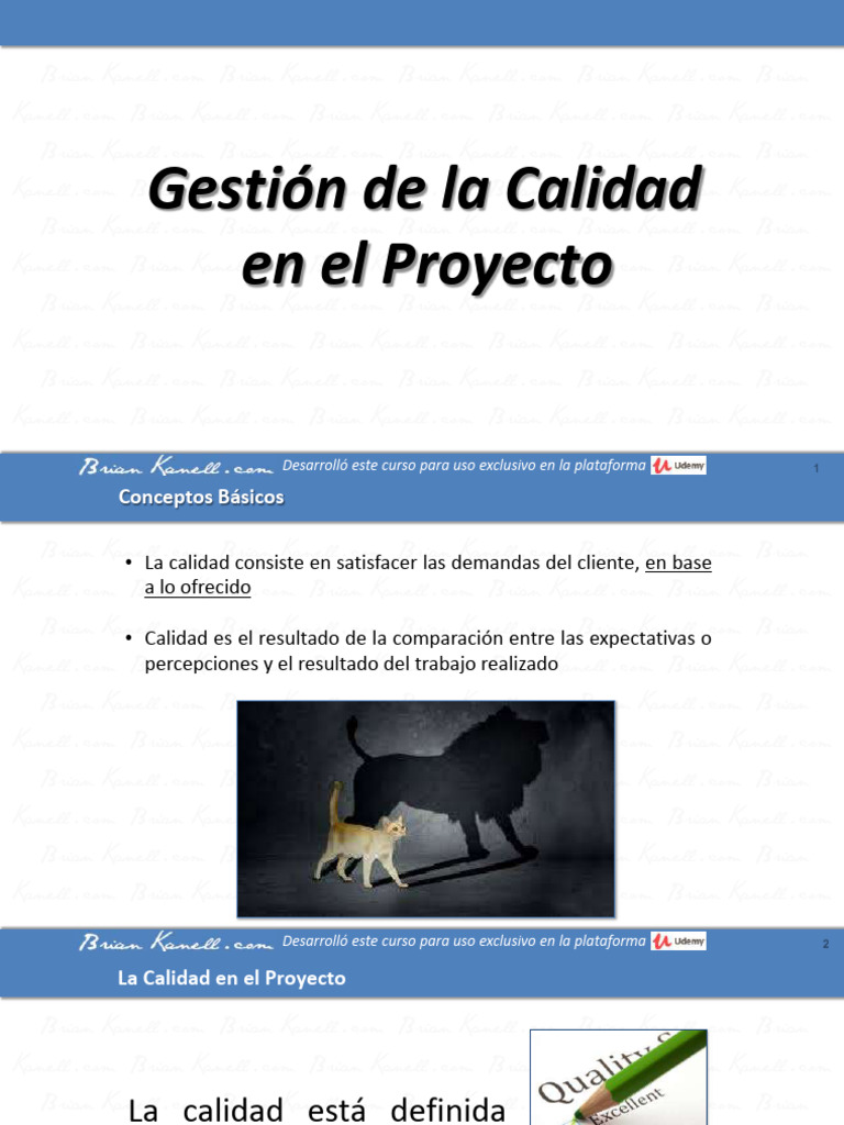 Gestión de Calidad en Proyectos | PDF | Calidad (comercial) | Gestión ...