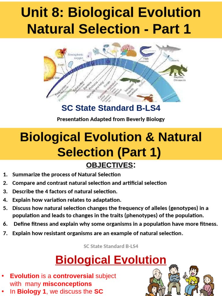 BIO Unit+8+ Part+1 Natural+Selection Lesson+Notes F2024 FDHS | PDF ...