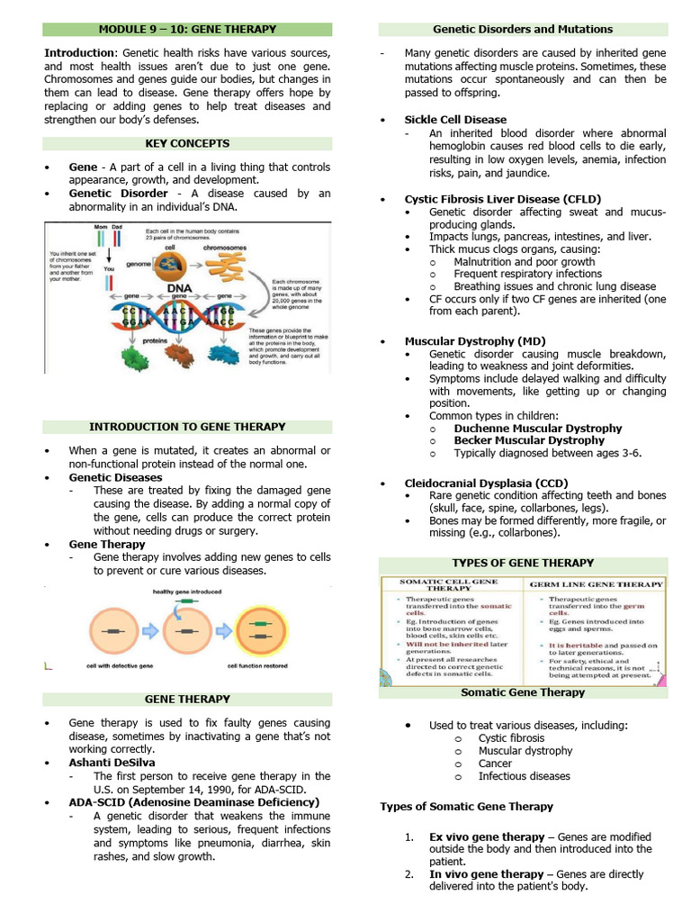 Module 9 | PDF | Gene Therapy | Genetic Engineering