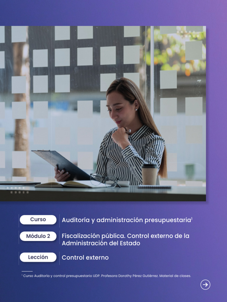 Control Externo del Estado: Principios y Normativa | PDF | Presupuesto ...