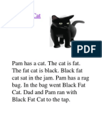 Black Fat Cat Story