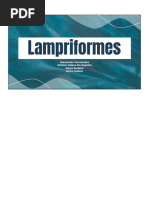 Overview of Batomorphi Classification | PDF | Vertebrates | Elasmobranchii