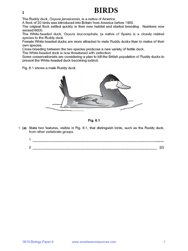 Key Features of Birds Explained | PDF