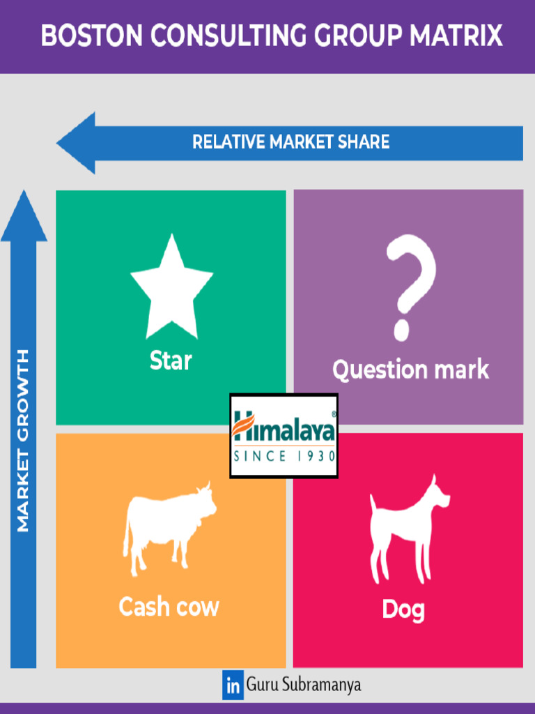 Product Portfolio Analysis Framework | PDF | Investing | Marketing
