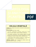 Morfologia-Şi-Anatomia-Plantelor