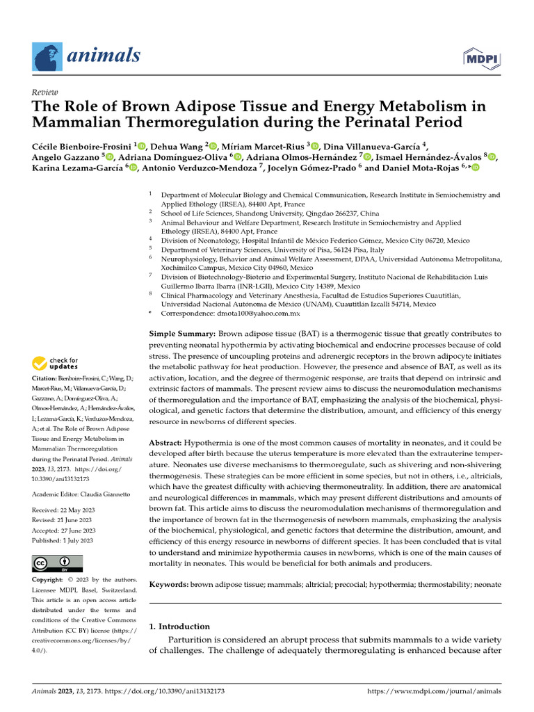 The Role of Brown Adipose Tissue and Energy Metabolism | PDF | Fetus ...