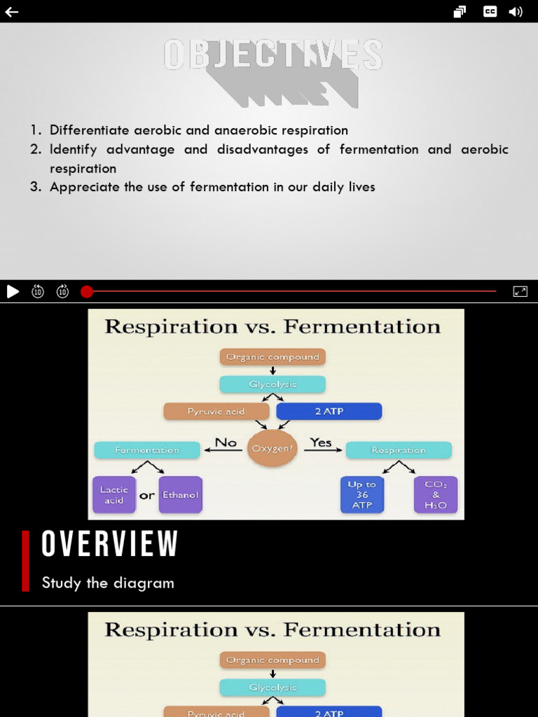Aerobic vs. Anaerobic Respiration Explained | PDF | Cellular ...