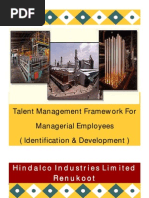 Talent Mgt Framework
