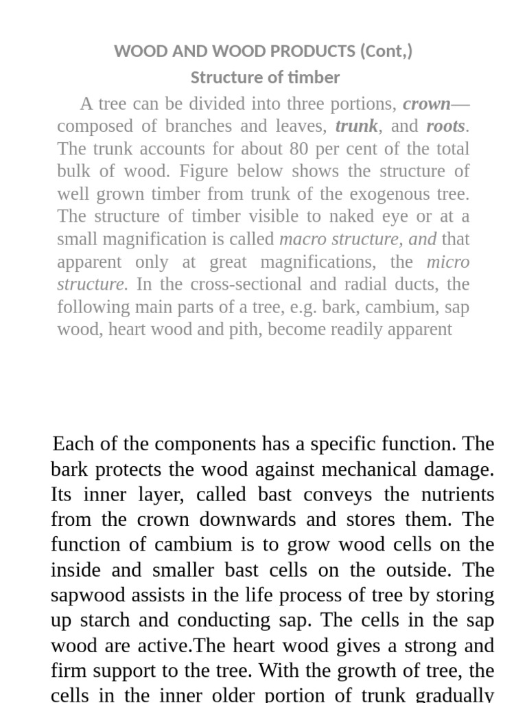 Timber Structure, Characteristics, and Defects | PDF | Wood | Lumber