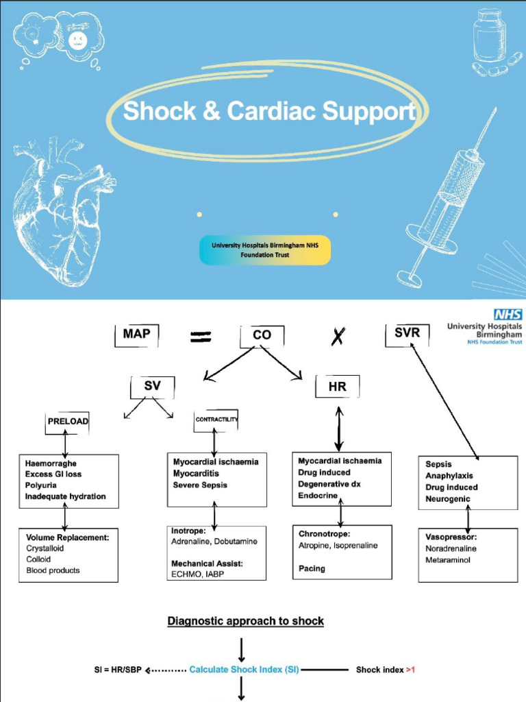 Shock and CVS Support | PDF