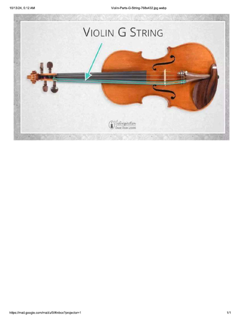 g String Guitar | PDF